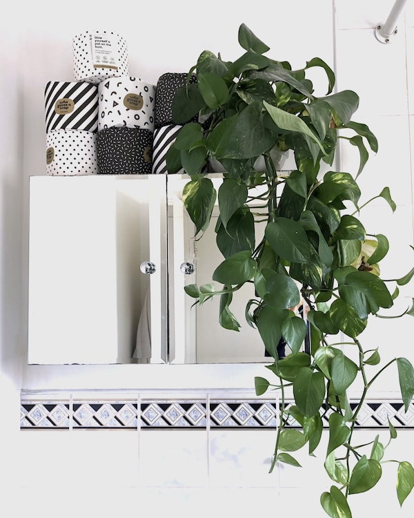 A black and white bathroom with a "Who Gives a Crap" plant on a shelf.