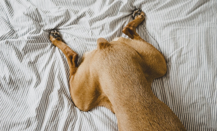 How to Cut Back Energy Waste in the Bedroom - Zero Waste Nest