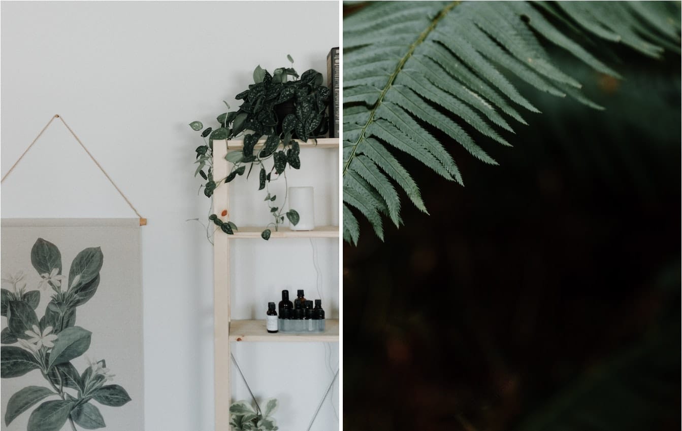 10 Zero Waste Uses for Lavender Essential Oil - Zero Waste Nest